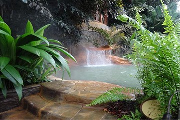 Rainforest Canopy Tour