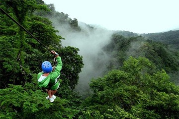 Rainforest Canopy Tour