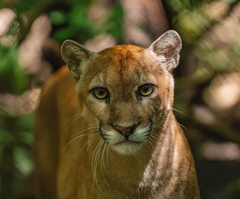 Educational Wildlife Visit